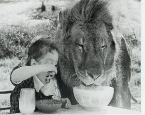 Every Problem Has a Solution