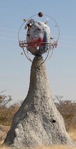 Planet Baobab